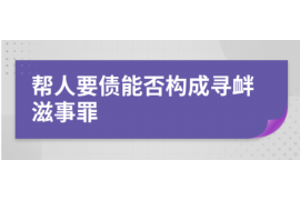 陕西为什么选择专业追讨公司来处理您的债务纠纷？